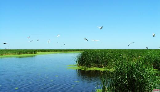 湿地生态恢复工程造价咨询预算